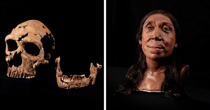 Meet Shanidar Z, A 40-Year-Old Neanderthal Woman Who Lived 75,000 Years Ago
