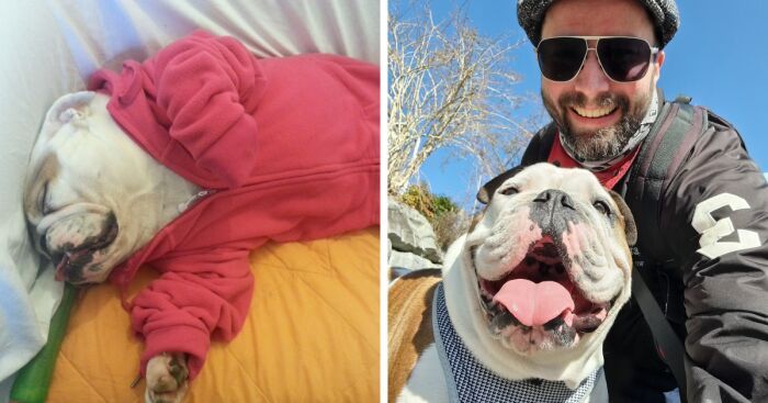 Hey Pandas, What Is The Funniest Picture Of Your Dog? (Closed)