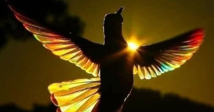 Hey Pandas, Post A Random Photo Or Screenshot On Your Mobile Phone