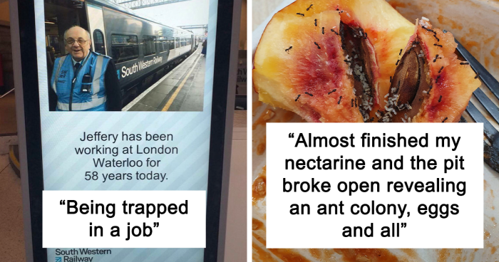 “Fears I Never Knew I Had”: 27 Pics That Might Give You Anxiety Just By Looking At Them
