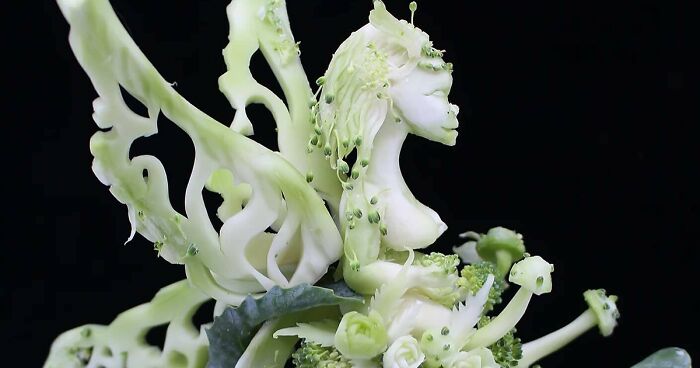 The Art Of Food Carving: 32 Mesmerizing Designs By World Champion Daniele Barresi (New Pics)