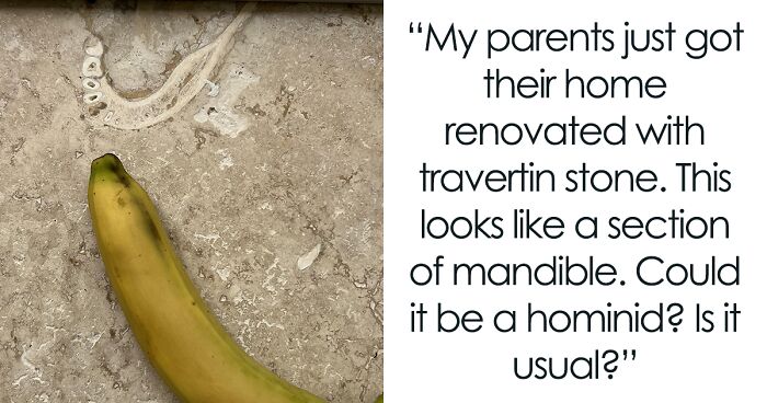 People Wanted A Travertine Floor, Get Surprised By The Human Jawbone That Came With It