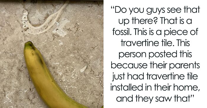 Person Checks Out How Parents Renovated Their Home, Discovers Human Jawbone In Their Floor Tile