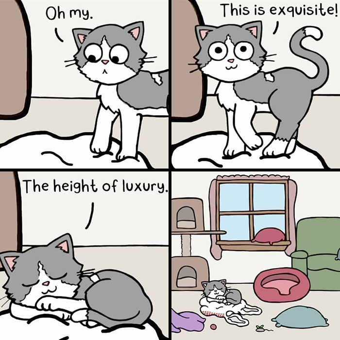 23 Hilarious Comics Highlighting The Silly Behavior Of Pets And Life With A Boyfriend, By This Artist (New Pics)