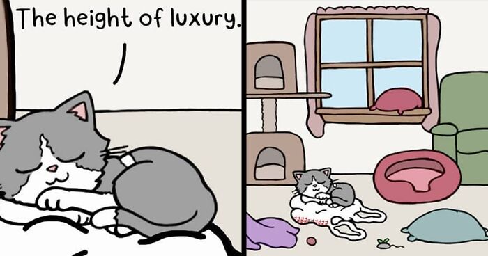 23 Hilariously Accurate Comics Featuring Cats, Other Animals, And A Boyfriend, By This Artist (New Pics)