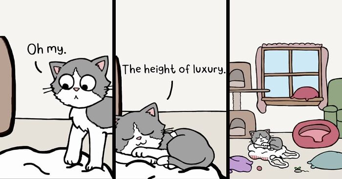 23 Funny And Relatable Comics About Relationships And Living With Cats, By This Artist (New Pics)
