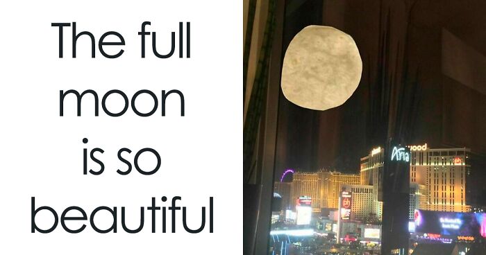 ‘Boys Who Can Cook’: 30 Hilariously Random Food Memes (New Pics)