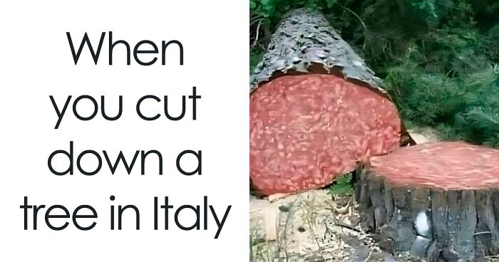 Food, But Make It Absurd: 55 Memes From The ‘Boys Who Can Cook’ IG Page (New Pics)
