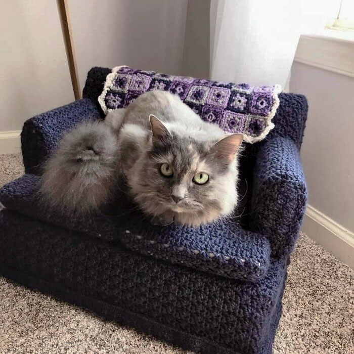 It’s Important To Me That The People Of Social Media Know That My Mother-In-Law Crocheted Her Grandcat A Couch 