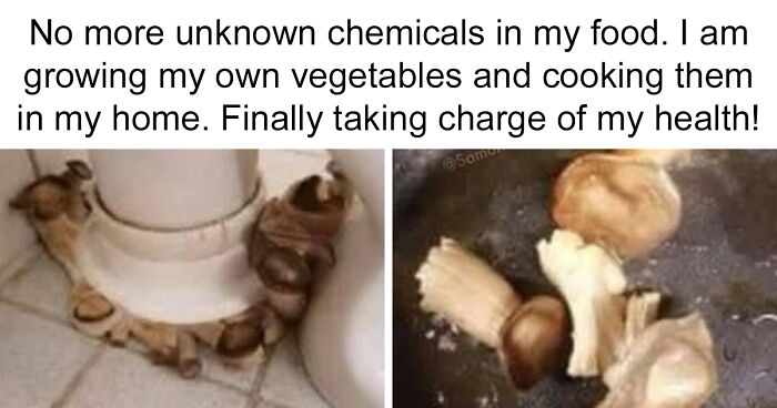 80 Pics From The Group That Shares The Most Unserious Memes About Life, Work, And Everything Else