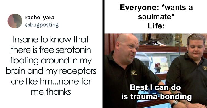 50 Hilariously Random Memes About Everything And Anything | Bored Panda