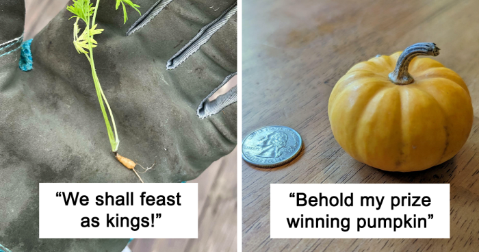 52 Hilarious Posts Of People Trying To Grow Their Own Food And Failing (New Pics)