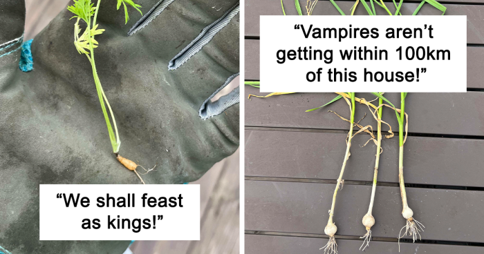 52 Hilarious Posts That Show Growing Your Own Food Is Not For Everyone (New Pics)