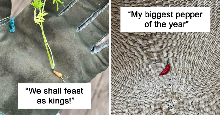 52 Entertaining Photos From People Trying Their Hand At Gardening (New Pics)