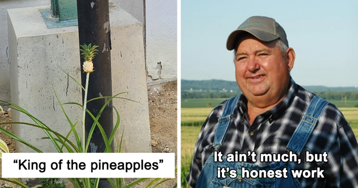 30 Hilarious Posts Of People Trying To Grow Their Own Food And Failing (New Pics)