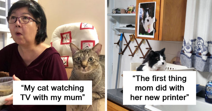 70 People That Just Had To Share Their Adorably Funny Moms Being Their Best Selves (New Pics)