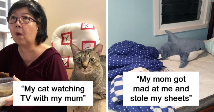 50 Happiness-Inducing Pics Of Moms Being Their Hilariously Wholesome Selves (New Pics)