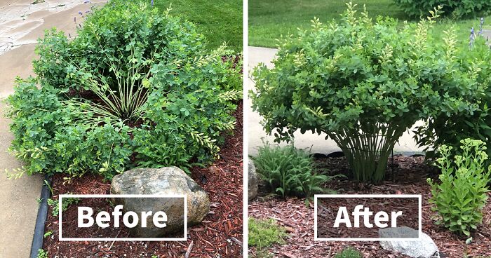 30 Gardening Gadgets That Get The Green Thumbs Up