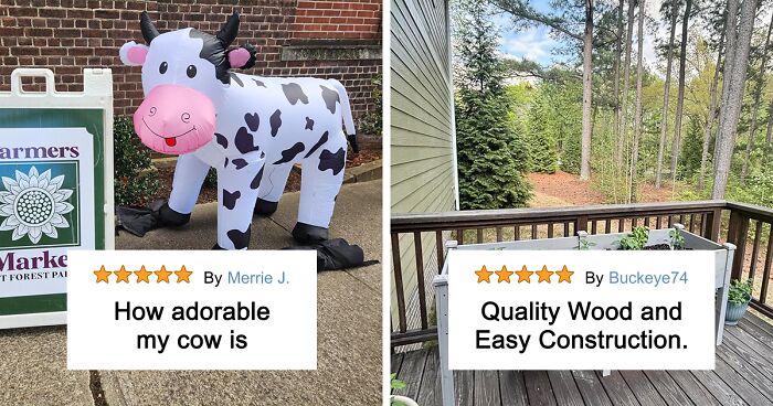 See 58 Items Every Cat Lover Secretly Wants But Won’t Ask For