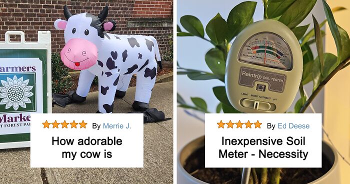 30 Budget-Friendly Items That’ll Make You Feel Like A Millionaire