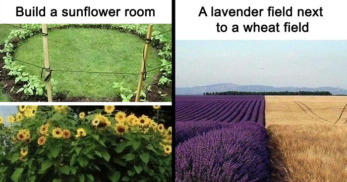 This Group Unites All Plant Lovers And Shares The Most Hilarious Gardening Posts Out There (68 Posts)