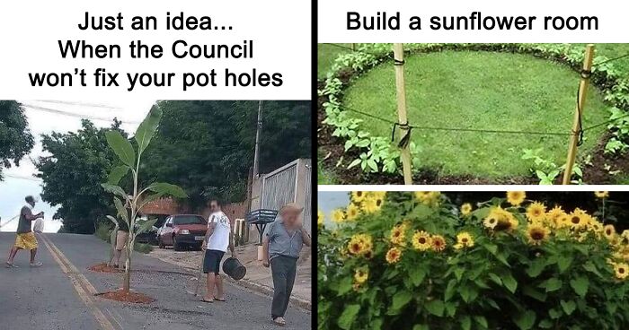 68 Relatable Memes And Posts For People Who Love Their Plants Just A Little Bit Too Much