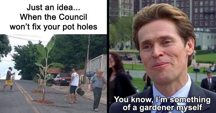 68 Relatable Memes And Posts For People Who Love Their Plants Just A Little Bit Too Much