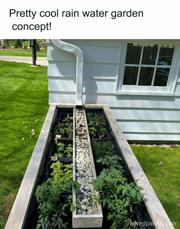 Gardening-Plant-Posts