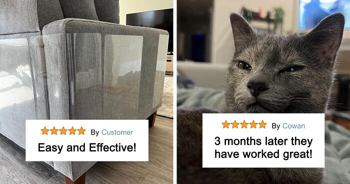 See 58 Items Every Cat Lover Secretly Wants But Won’t Ask For