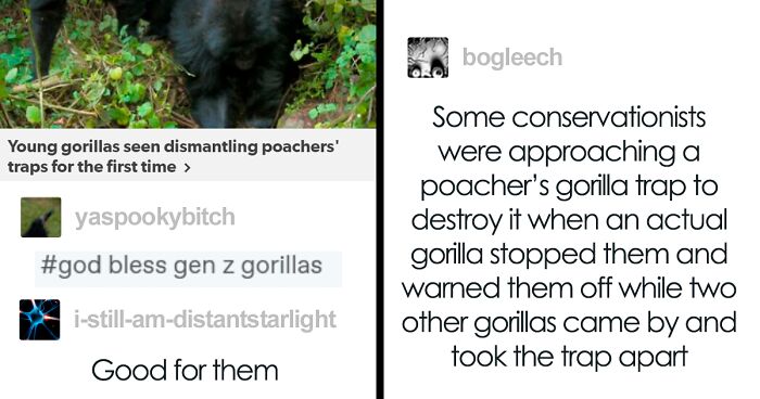 74 Hilarious Posts That Prove Tumblr Is One Of The Best Sites On The Internet