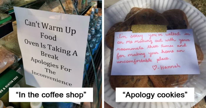 45 Delightfully Funny Apology Notes To Lift Your Mood