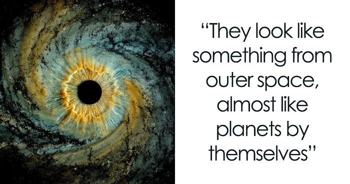 The Complex Business Of Iris Photography Is Capturing The Beauty Of The Human Eye In Immense Detail