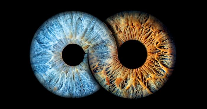 The Unique Patterns And Colors Of The Human Iris Are Being Transformed Into Beautiful Works Of Art