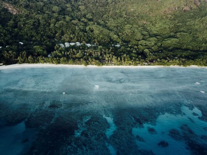 Blue Whales Returned To Seychelles: Scientists Recorded 23 Species During Their Surveys Blue Whales Returned To Seychelles: Scientists Recorded 23 Species During Their Surveys