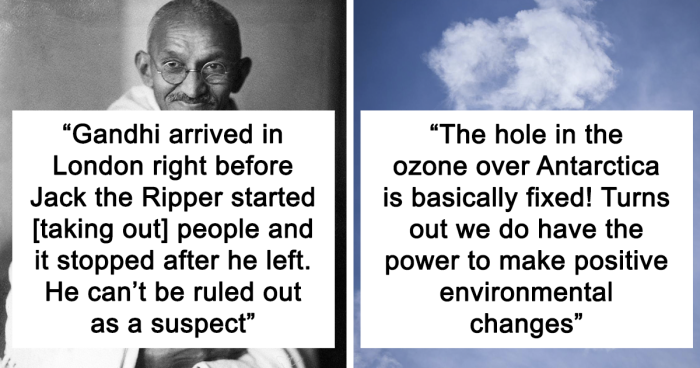 “Cows Have Accents”: 40 Fun Facts “No One Asked For,” But You Might Still Enjoy