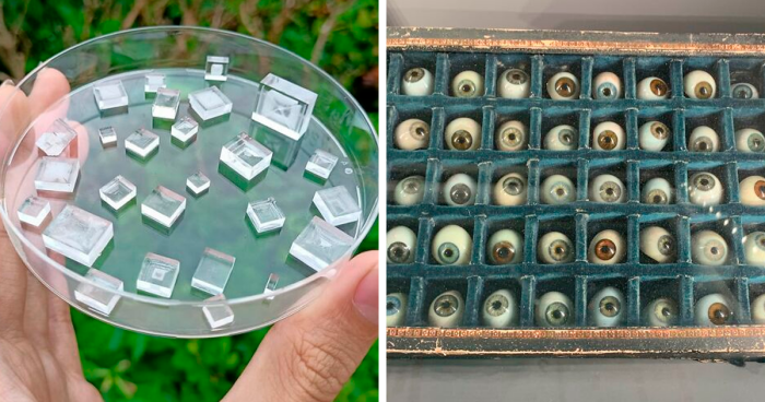 100 Of The Most Unusual Collections That People Have Put Together Over The Years (New Pics)