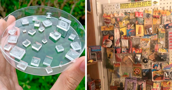 100 Of The Most Unusual Collections That People Have Put Together Over The Years (New Pics)