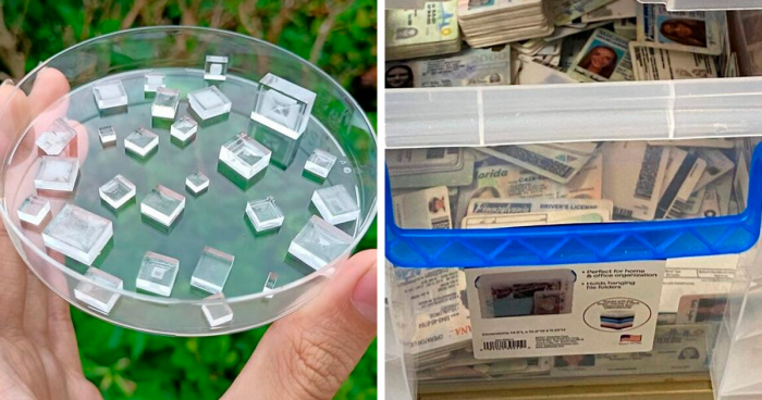 People Are Showing Off What They Collect, Here Are 100 Of The Most Interesting Collections (New Pics)