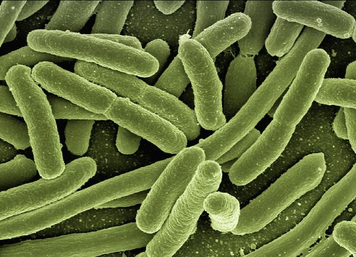 Bacteria In Space Mutate Into Forms Never Seen Before On Earth