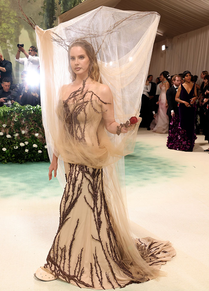Met Gala 2024: The Most Daring And Stunning Red Carpet Looks