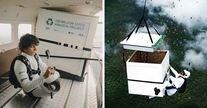 Man Sprinkles 100 Million Seeds Above Amazon Forest From 6,500 Feet