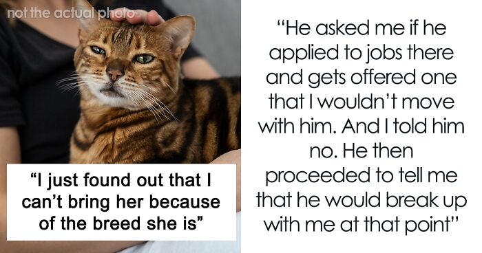 Woman Refuses To Leave Behind Her Cat To Travel Australia For A Year, Gets Dumped