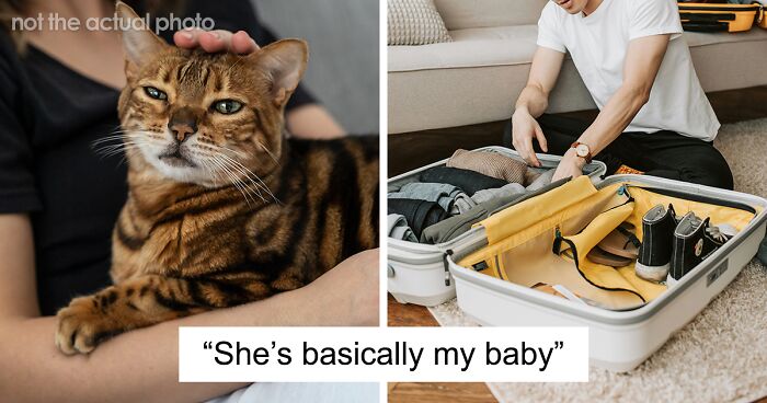 “She’s Basically My Baby”: Woman Passes Up A Year Of Traveling Because She Can’t Bring Her Cat
