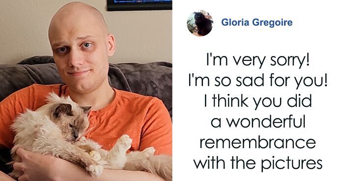 “I’m Gonna Go Cry”: Man Recreates Photo With Childhood Cat Before Putting Him To Sleep