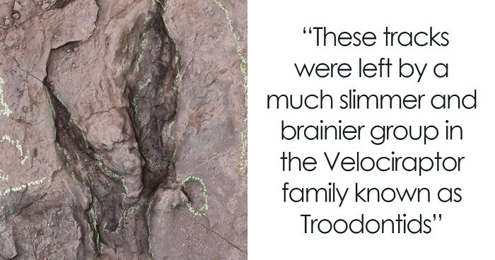 Found Raptor Scientists “Flabbergasted” By Recent Raptor Discovery In China | Bored ...
