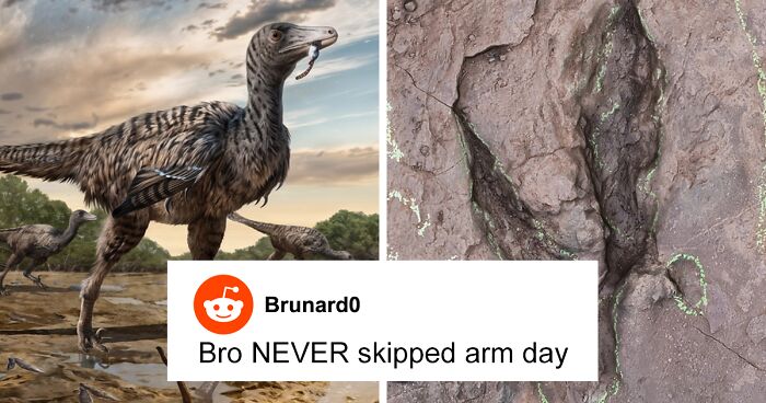 Found Raptor Scientists “Flabbergasted” By Recent Raptor Discovery In China | Bored ...