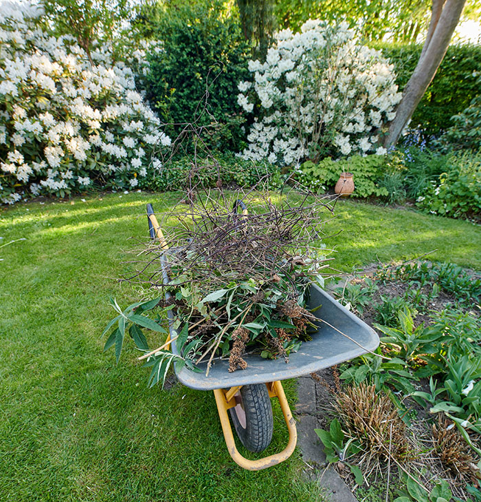 MIL Tries To Guilt-Trip Couple Into Spending Their Anniversary Doing Yard Work For Her, Fails MIL Tries To Guilt-Trip Couple Into Spending Their Anniversary Doing Yard Work For Her, Fails