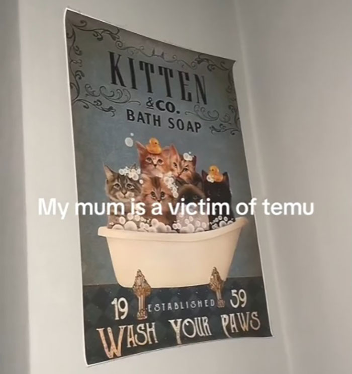 People Hilariously Document The Evidence That Their Parents Are “Temu Victims” People Hilariously Document The Evidence That Their Parents Are “Temu Victims”