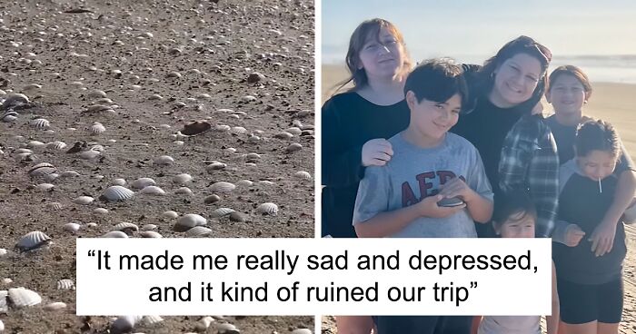 “It Ruined Our Trip”: Mom Fined $88k After Kids Pick Up 72 Clams Thinking They Were Seashells