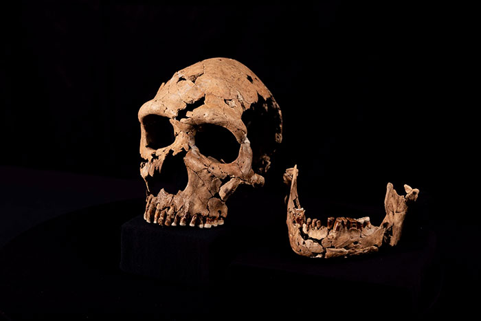Meet Shanidar Z, A 40-Year-Old Neanderthal Woman Who Lived 75,000 Years Ago Meet Shanidar Z, A 40-Year-Old Neanderthal Woman Who Lived 75,000 Years Ago